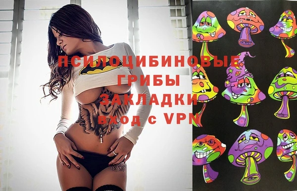 прущие грибы Баксан