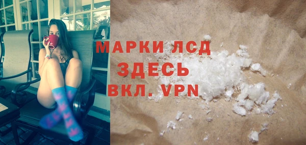 прущие грибы Баксан
