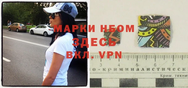 прущие грибы Баксан