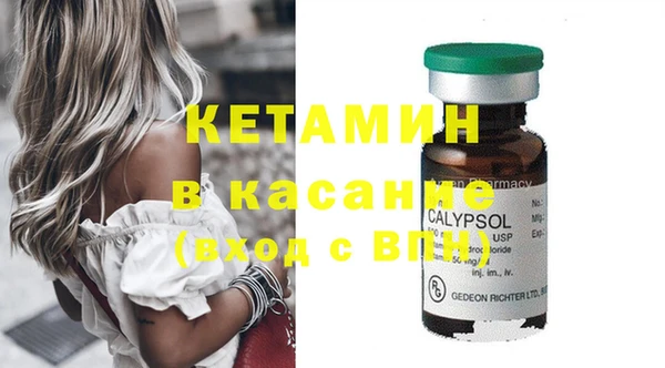 прущие грибы Баксан
